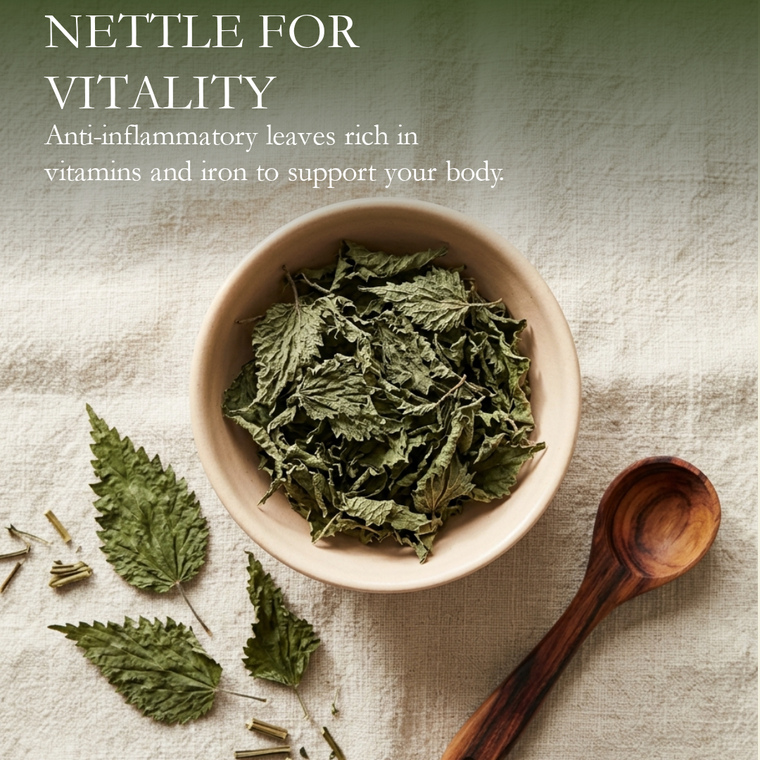 Nettle Leaf Tea