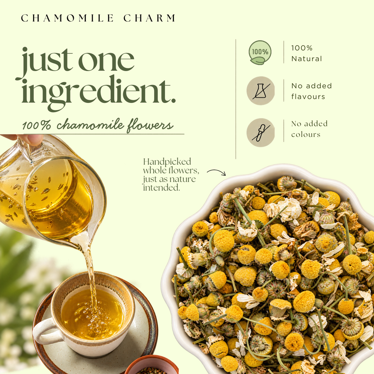 Chamomile Charm