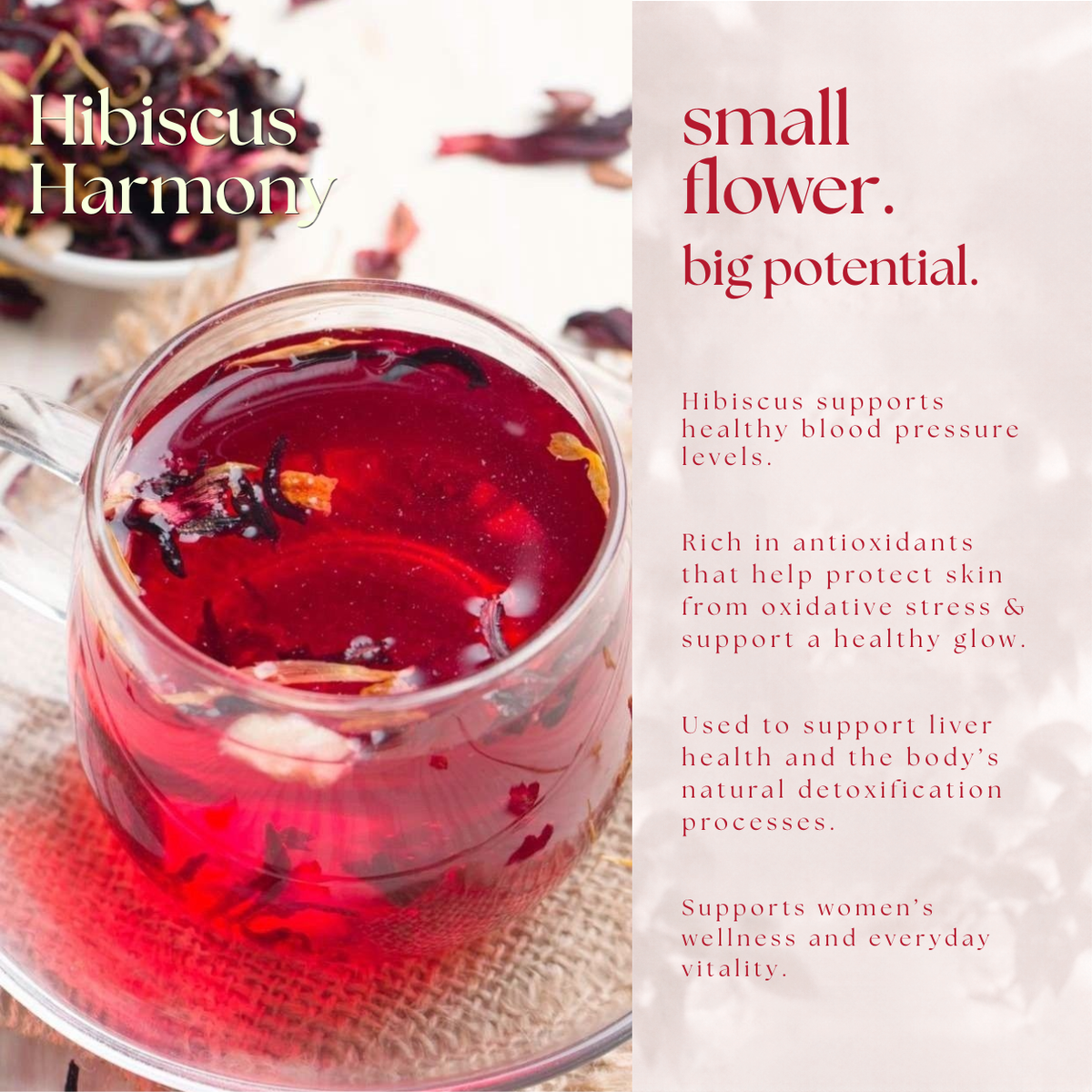 Hibiscus Harmony