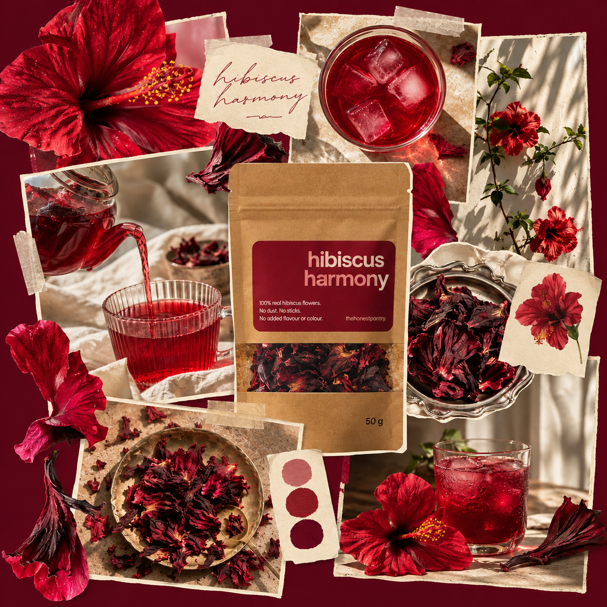 Hibiscus Harmony