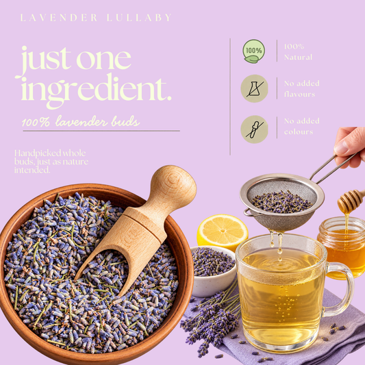 Lavender Lullaby