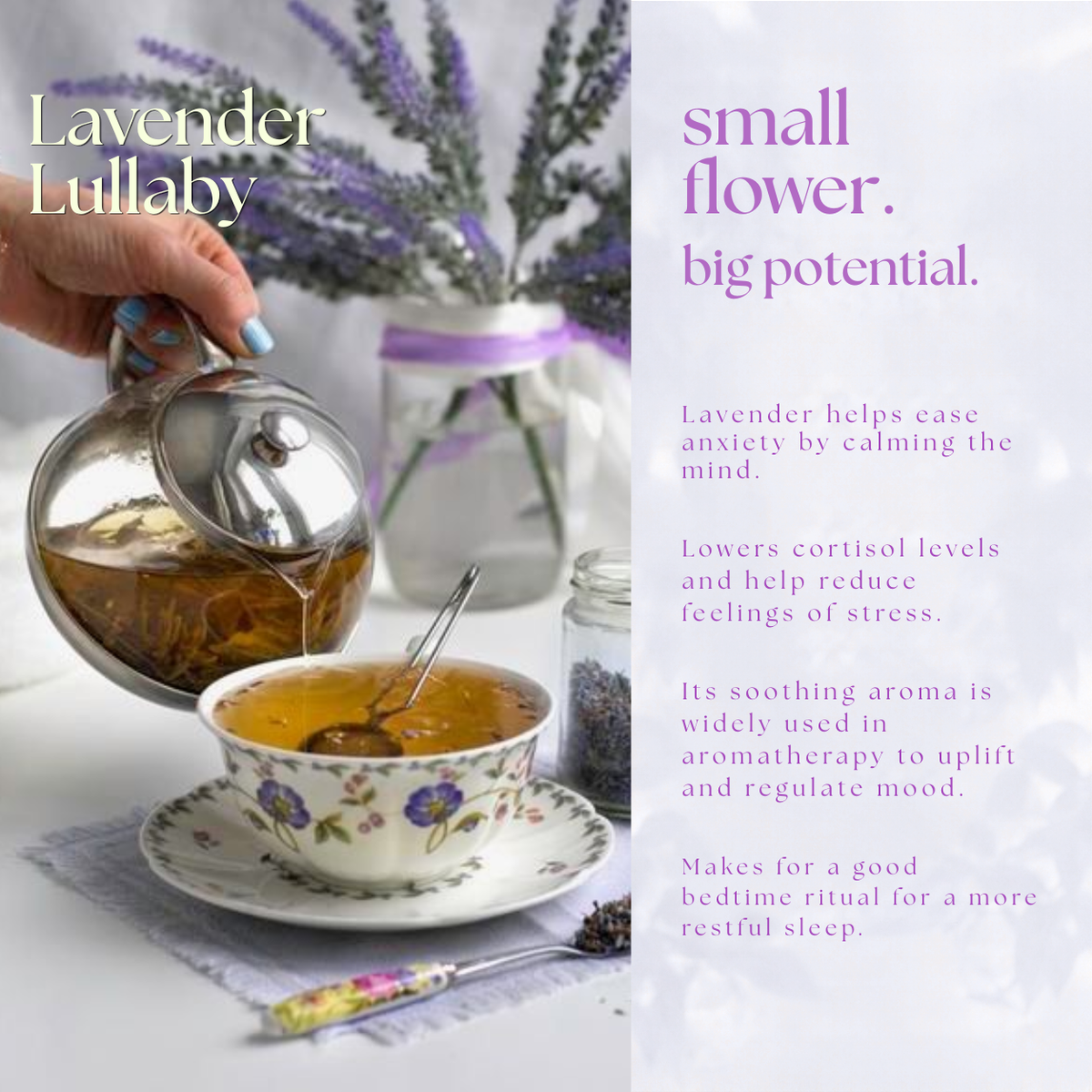 Lavender Lullaby