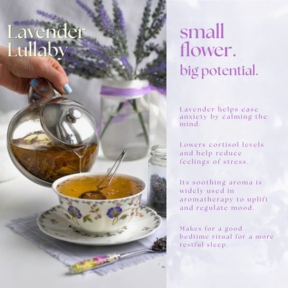 Lavender Lullaby