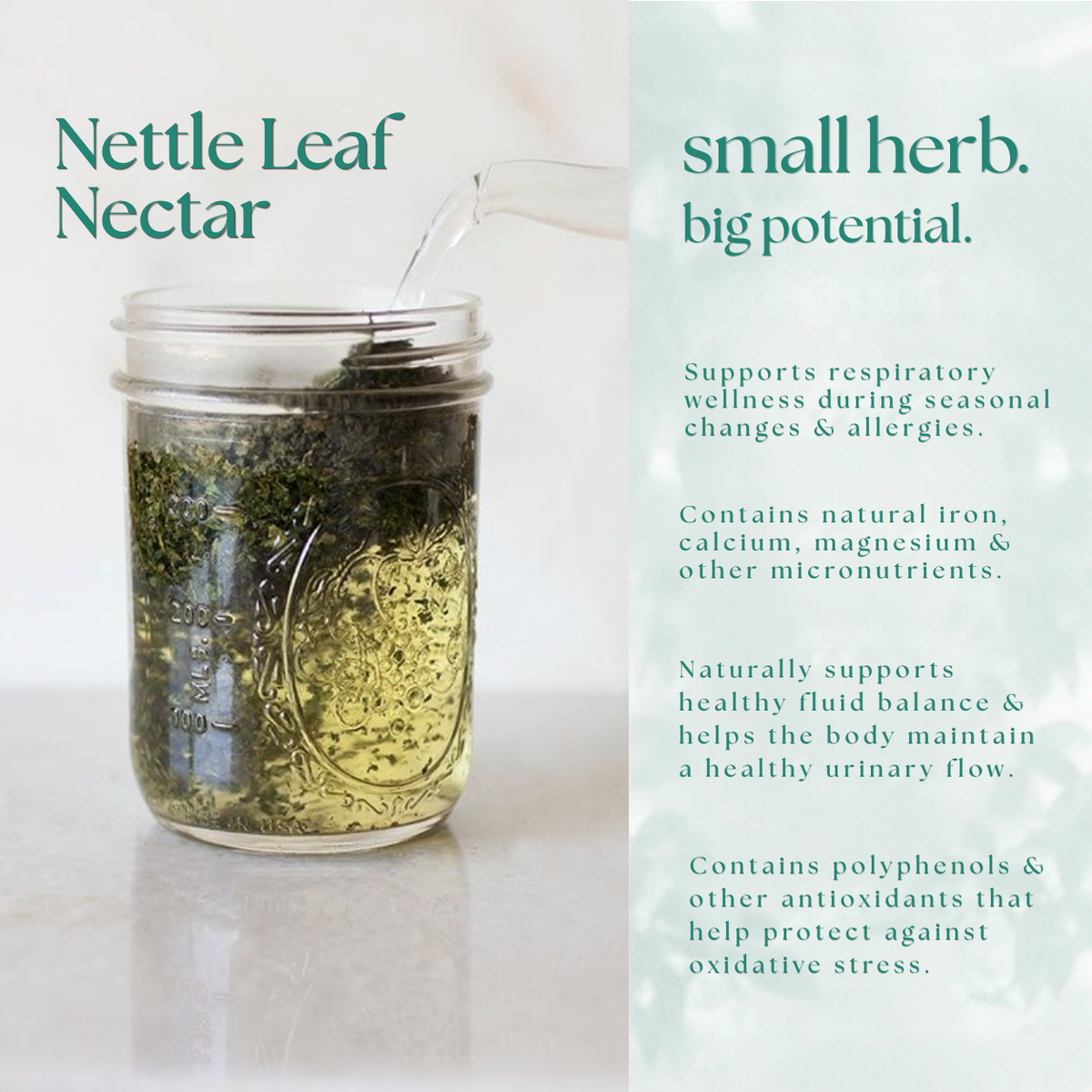 Nettle Leaf Nectar