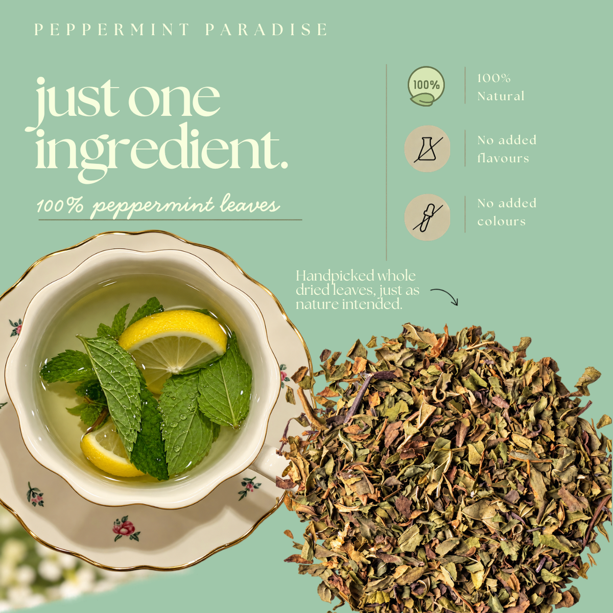 Peppermint Paradise