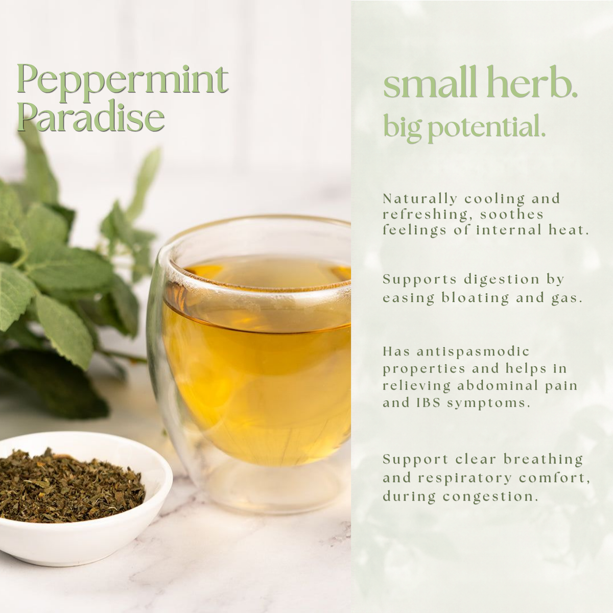 Peppermint Paradise