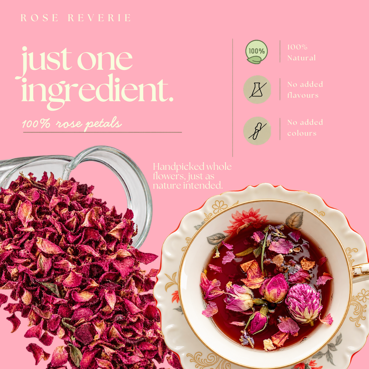 Rose Reverie