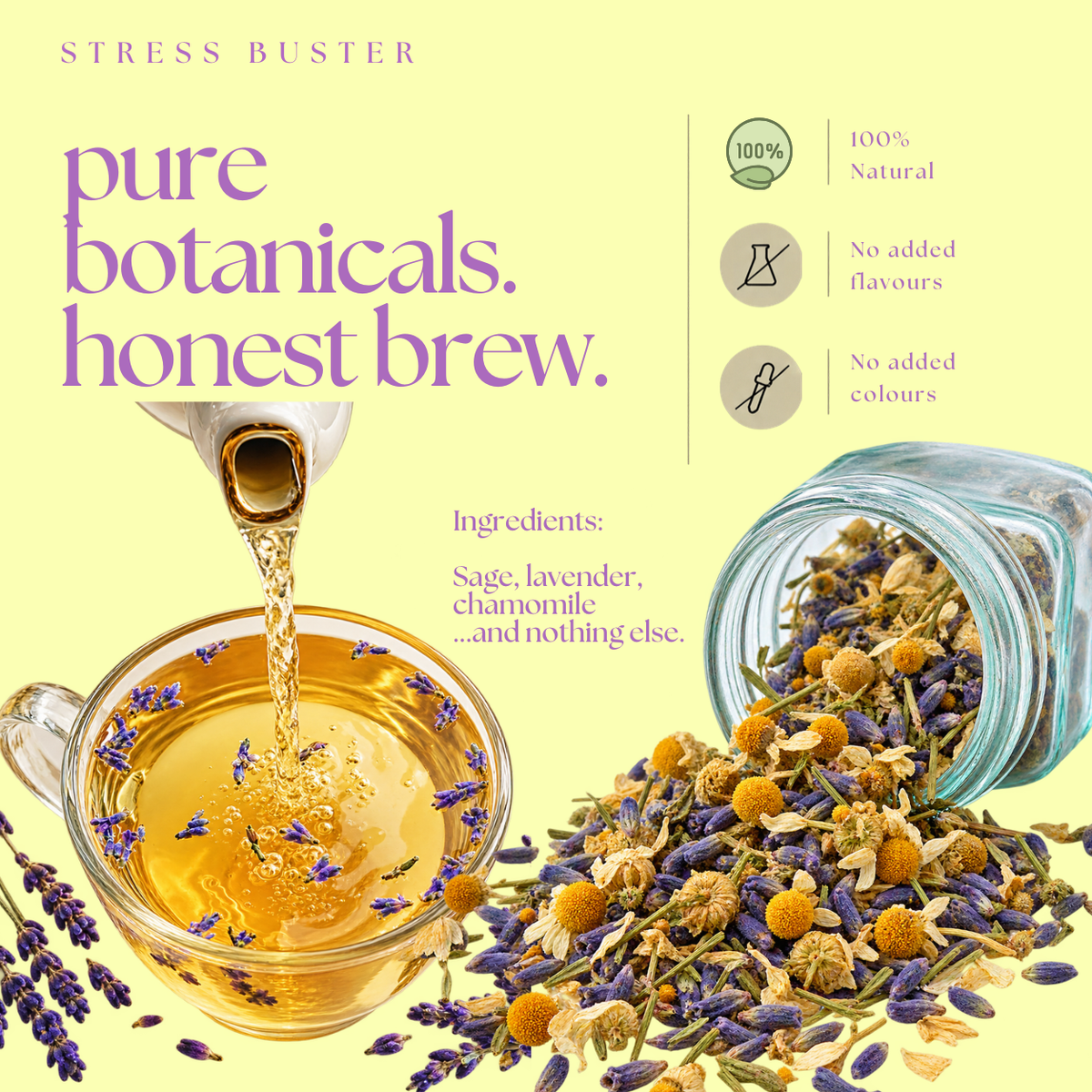 Stress Buster Blend