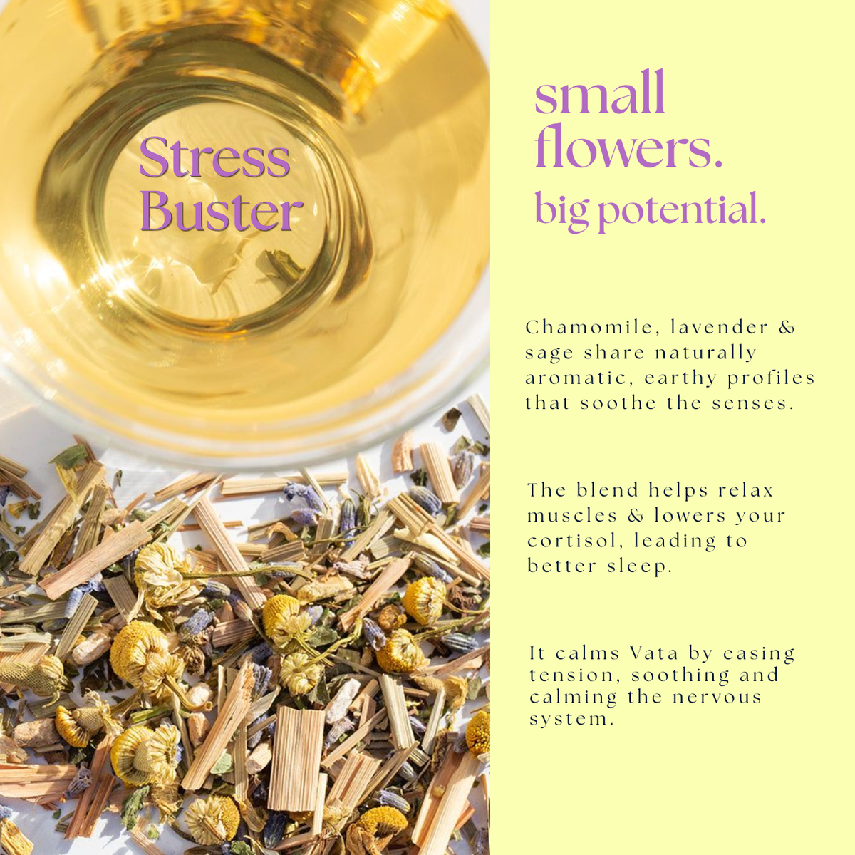 Stress Buster Blend