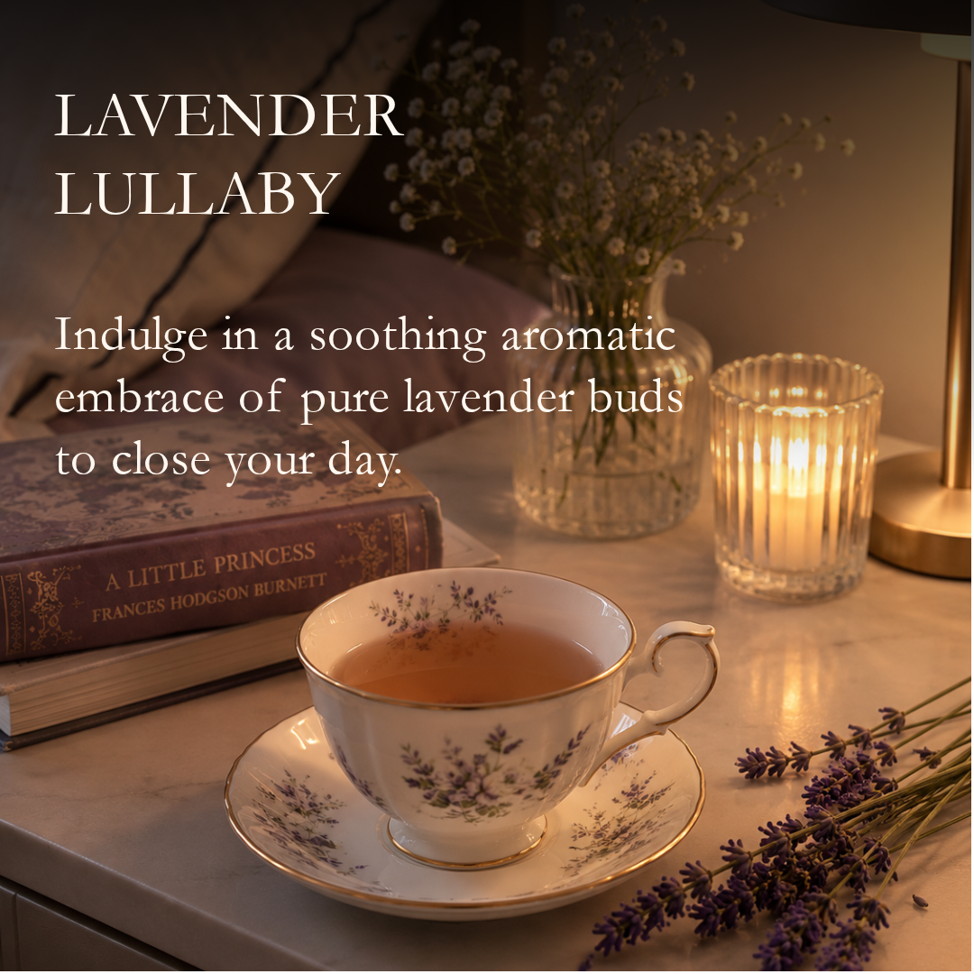 Lavender Lullaby